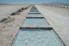 El potencial minero de Argentina es vasto y diverso, abarcando una amplia gama de minerales y metales preciosos y estratégicos,. como el litio. Foto: MDZ
