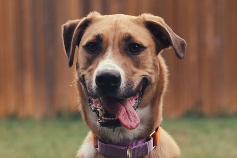 El video que circuló en redes sociales. El video que circuló en redes sociales.