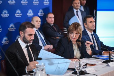 MDZol | Patricia Bullrich Comisión de Trabajo y Previsión Social y de Presupuesto y Hacienda