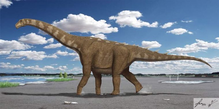 Foto: Francisco Gascó - 20minutos.com