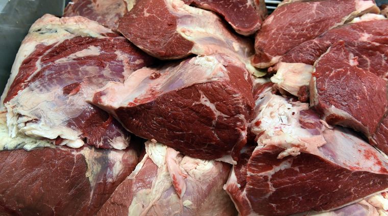 La dieta del crudismo, qué comer y que no según una especialista Foto: ALF PONCE MERCADO / MDZ