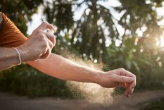 Hay repelentes caseros igual de eficaces que los del mercado Foto: Shutterstock
