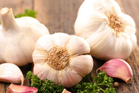 AJO USOS DEL AJO EN EL JARDÍN. Foto: Shutterstock