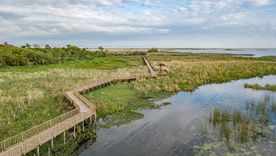 Entre lagunas, música y tradición, el pueblo correntino de Carlos Pellegrini se consolida como un modelo de turismo sostenible en Argentina.
