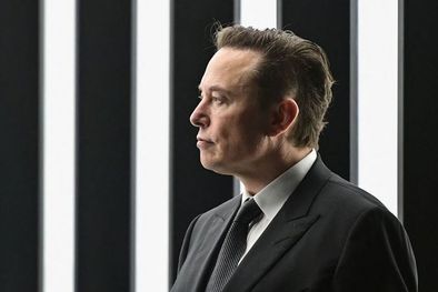 MDZol | Musk es ahora el mayor accionista individual de Twitter. ¿Cuál será su próximo movimiento? Foto: GETTY IMAGES