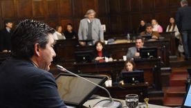 La Cámara de Diputados de Mendoza tratará el proyecto San Jorge.