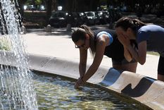 Foto: ALF PONCE MERCADO / MDZ Foto: ALF PONCE MERCADO / MDZ