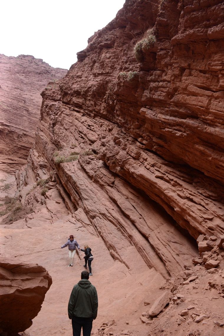 Quebrada de las Conchas, Cafayate, Cachi, Tastil y Tren a las Nubes: la Salta que no te podés perder