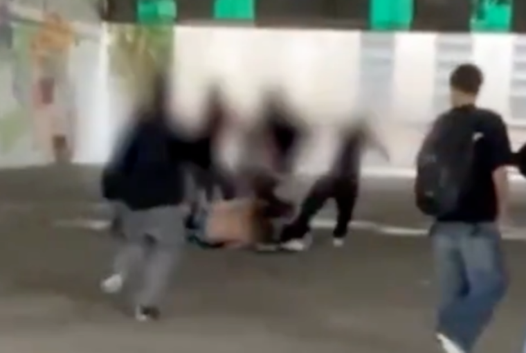 Tras la pelea en el colegio de La Plata, una de las madres denunció falta de participación de las autoridades.