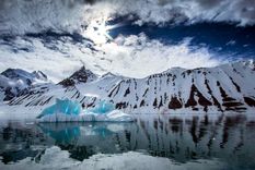 la antartida tenia grandes extensiones de bosque hace 58 millones de anos