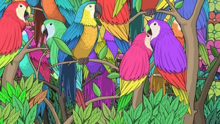 ACERTIJO VISUAL ACERTIJO VISUAL, RETO VISUAL, MARIPOSA Foto: ARCHIVO