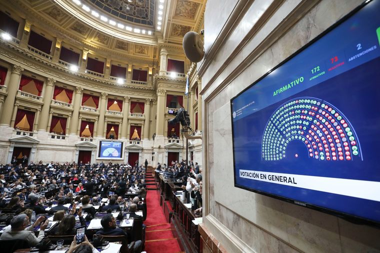 El rechazo al veto en discapacidad generó grietas en diputados oficialistas y dialoguistas.
