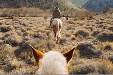 Los turistas extranjeros pueden acceder a un regalo de hasta 100 USD Foto: @visitargentina