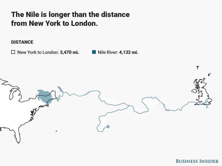 Foto: Bussines Insider