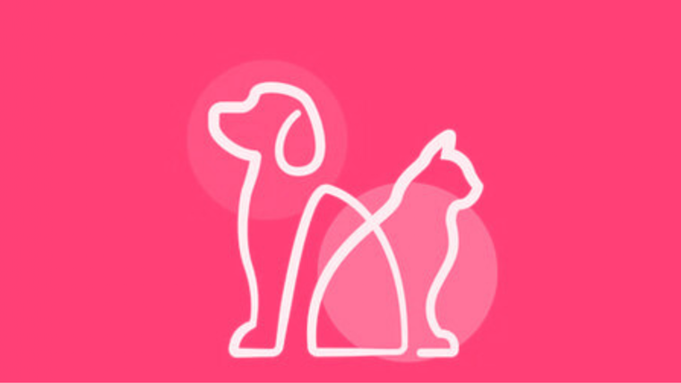 Test de personalidad