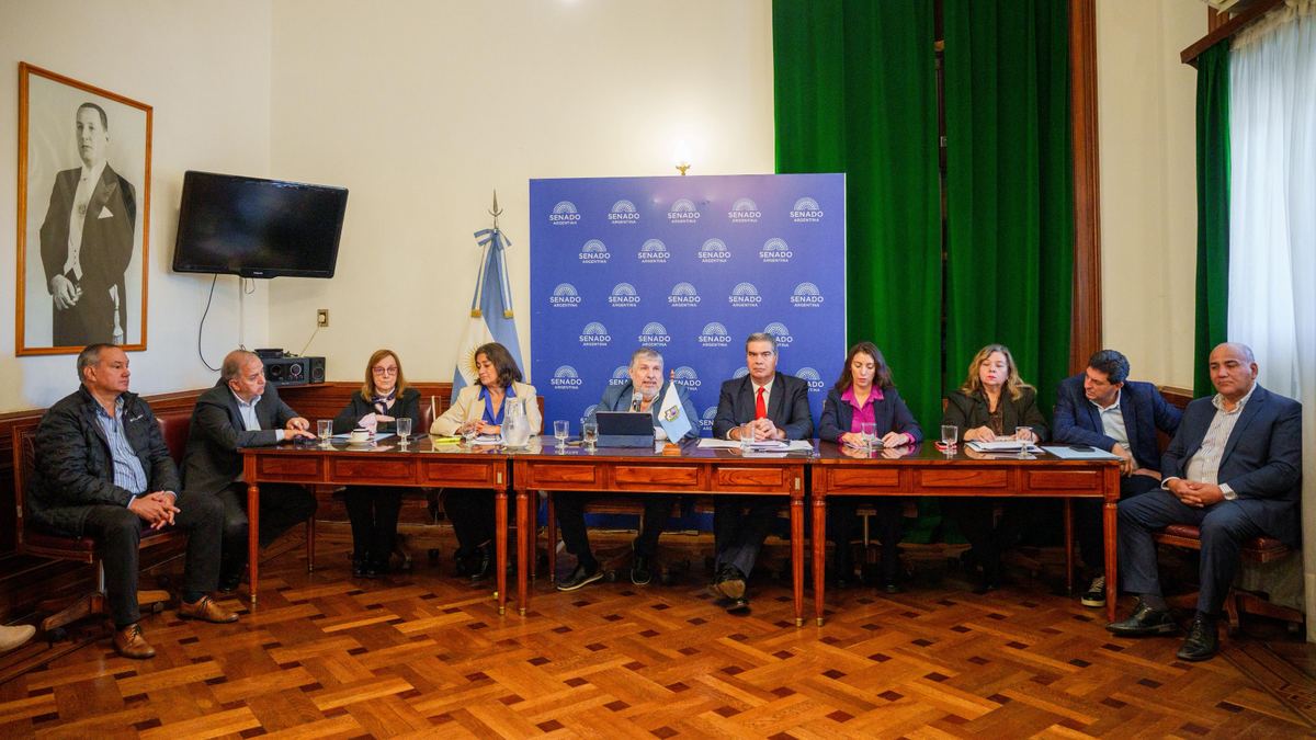 Un proyecto en el Senado busca bajar la tarifa de luz en el Norte