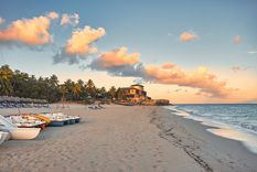 El descubrimiento ocurrió en Cuba Foto: Shutterstock