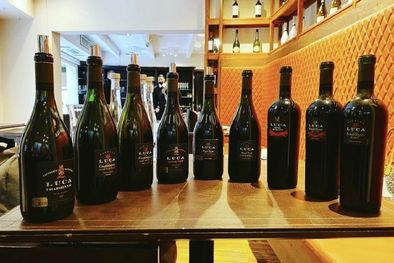 MDZol | Una imagen de los vinos degustados. Foto: Gentileza