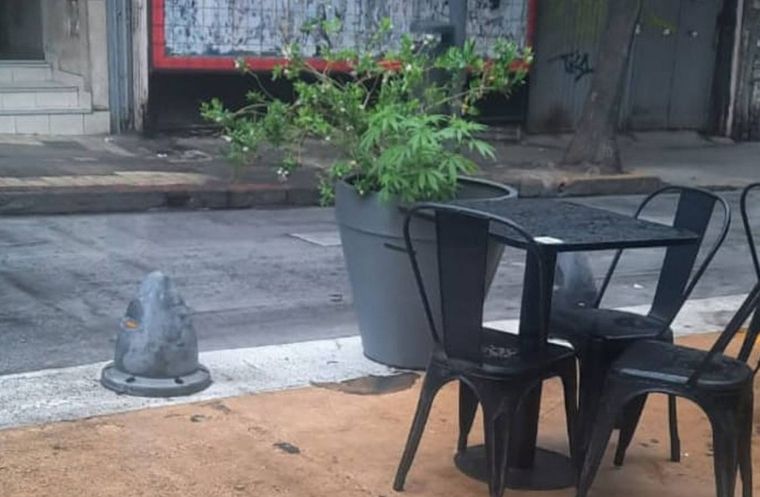 El jueves por la tarde, la Fuerza Policial Antinarcotráfico decomisó en una maceta de calle Buenos Aires Foto: Twitter Centro Vecinal Nueva Córdoba