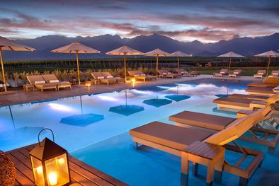 MDZol | Foto: Foto Web