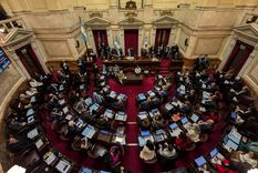 el senado rechazo por amplia mayoria los vetos de emergencia pediatrica y financiamiento universitario