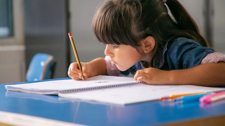 El sistema escolar ha logrado niveles casi universales de permanencia y contención, pero fracasa de forma persistente en la enseñanza de saberes elementales.&nbsp;
