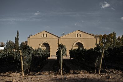 MDZol | Bodega Casarena, incorporada al modelo colaborativo.