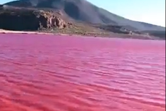 El legendario río se tiñó de color rojo Foto: Captura de video