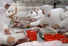 La carne bovina exportada cayó en volumen durante abril.Foto: NA