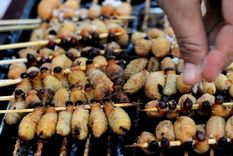Al menos en tres continentes se comen insectos. Foto: GETTY IMAGES