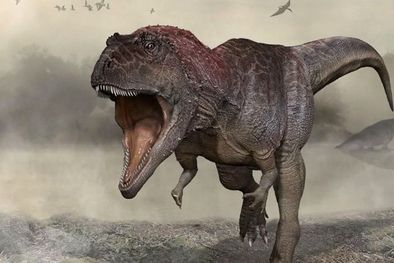 MDZol | Meraxes gigas medía unos 11 metros desde la punta del hocico hasta la punta de la cola. Pero sus brazos tenían solo 60 cm de largo. (Ilustración de Juan A González) Foto: JORGE A. GONZÁLEZ