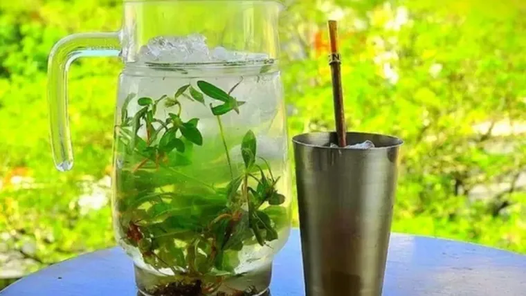 El agua es esencial para la vida. El agua es esencial para la vida.