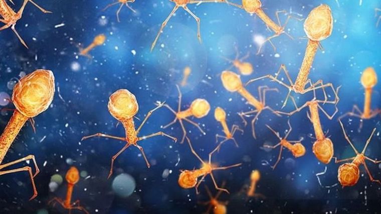 Muchos virus están involucrados en procesos corporales esenciales y forman parte de nuestro ecosistema interno. Foto: GETTY IMAGES