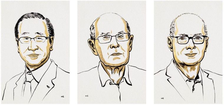 Susumu Kitagawa,  Richard Robson y Omar M. Yaghi.