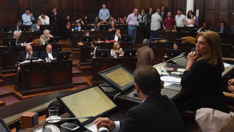 Foto: Pachy Reynoso/MDZ