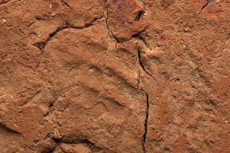 El hallazgo de una huella de mano de 4.000 años de antigüedad ha sido descubierta en una antigua tumba egipcia. Foto DPA