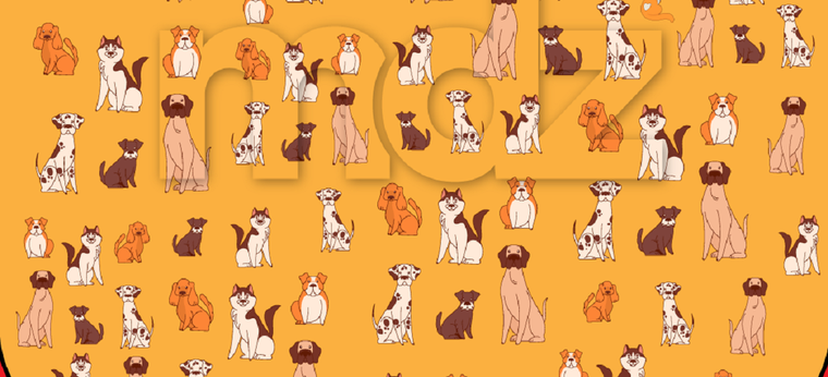 El acertijo visual pone a prueba tu nivel de observación Foto: Archivo MDZ