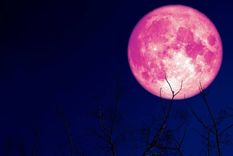 Lo que la Luna Fresa nos dejó.