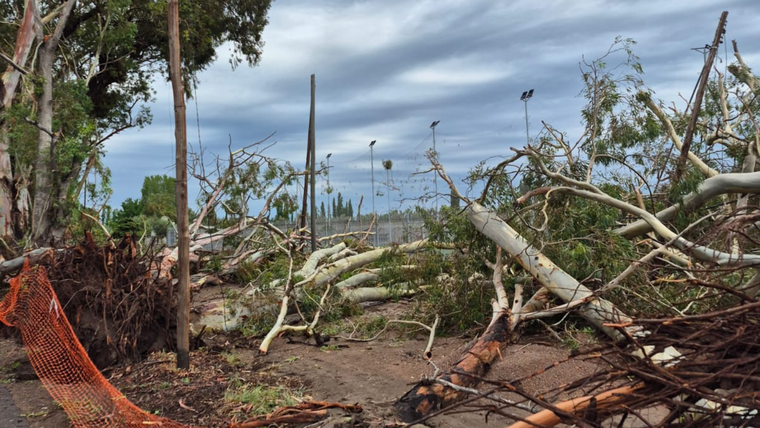 Los daños de la tormenta en San Martín. Los daños de la tormenta en San Martín.