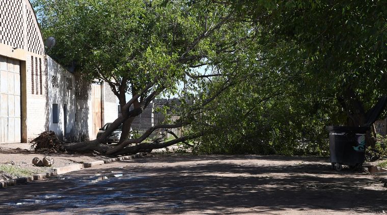 Reclaman falta de previsión y de proyección para evitar desastres. Foto: ALF PONCE MERCADO / MDZ