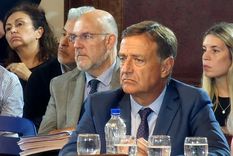 Suarez es uno de los legisladores por Mendoza que votó a favor de la Ley Bases Foto: X @rodysuarez