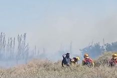 El incendio que se desató en Junín. El incendio que se desató en Junín.