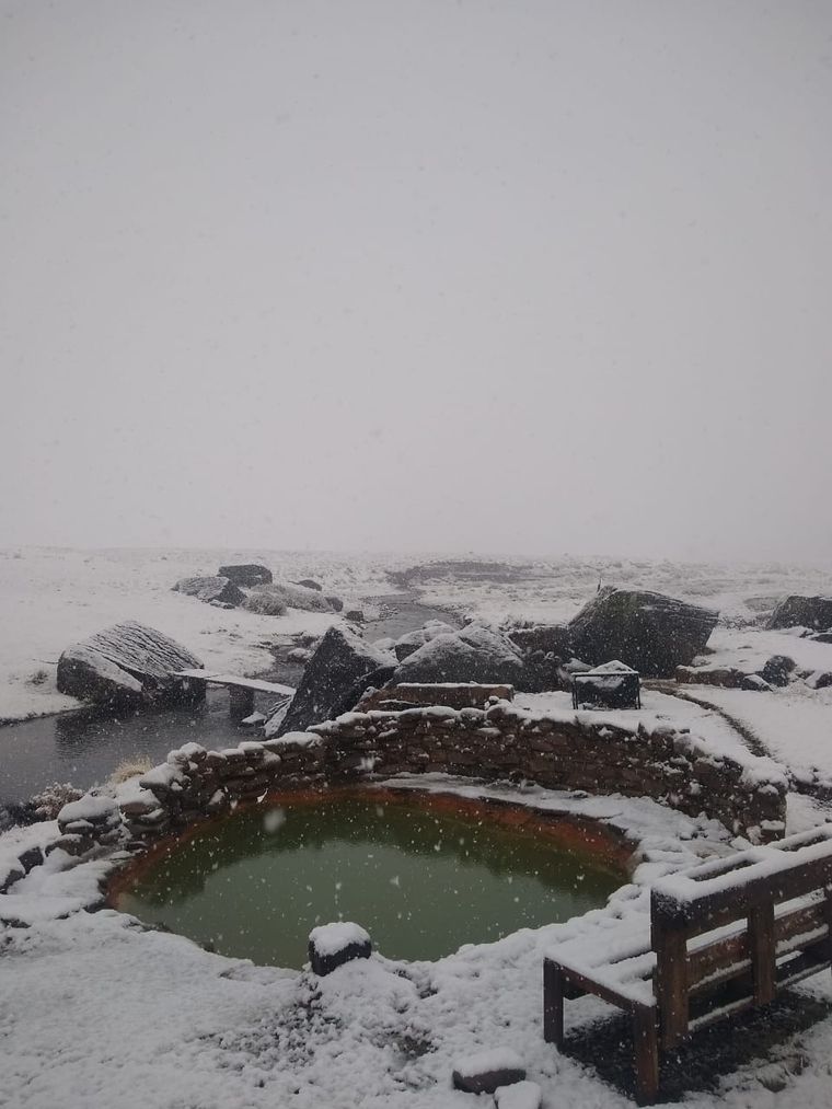 Foto: Rubén Flores para Malargüe a Diario.