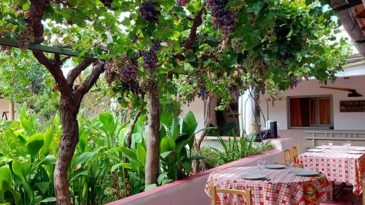 Mendoza más auténtica: conocé sus nuevas experiencias gastronómicas y turísticas