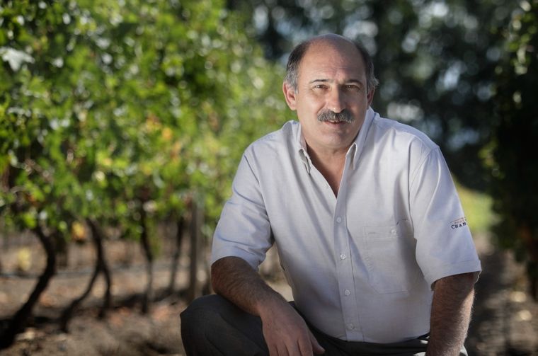 Onofre Arcos. Foto: Gentileza