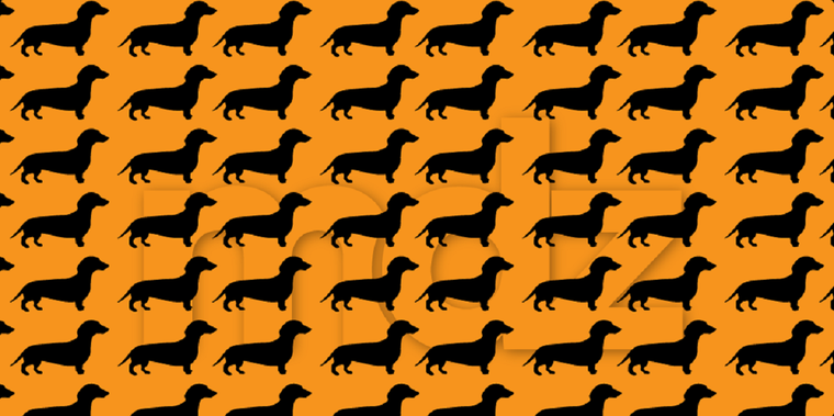 El acertijo visual ha adquirido una gran popularidad en los últimos años Foto: Archivo MDZ