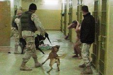 fuertes reacciones internacionales por informe de la cia