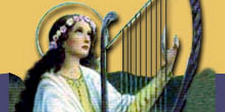 La sabiduría popular dice que la música calma las fieras. Foto: google images