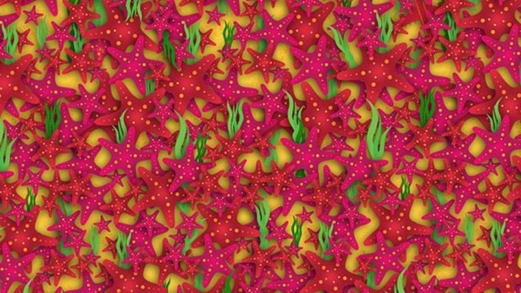 ACERTIJO VISUAL ACERTIJO VISUAL, RETO VISUAL, AVIÓN Foto: ARCHIVO