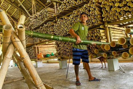 como el bambu, usado durante milenios en sudamerica, esta revolucionando la construccion antisismica como el bambu, usado durante milenios en sudamerica, esta revolucionando la construccion antisismica